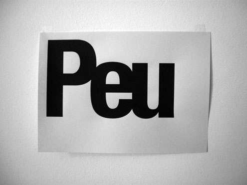 Peu (essai)